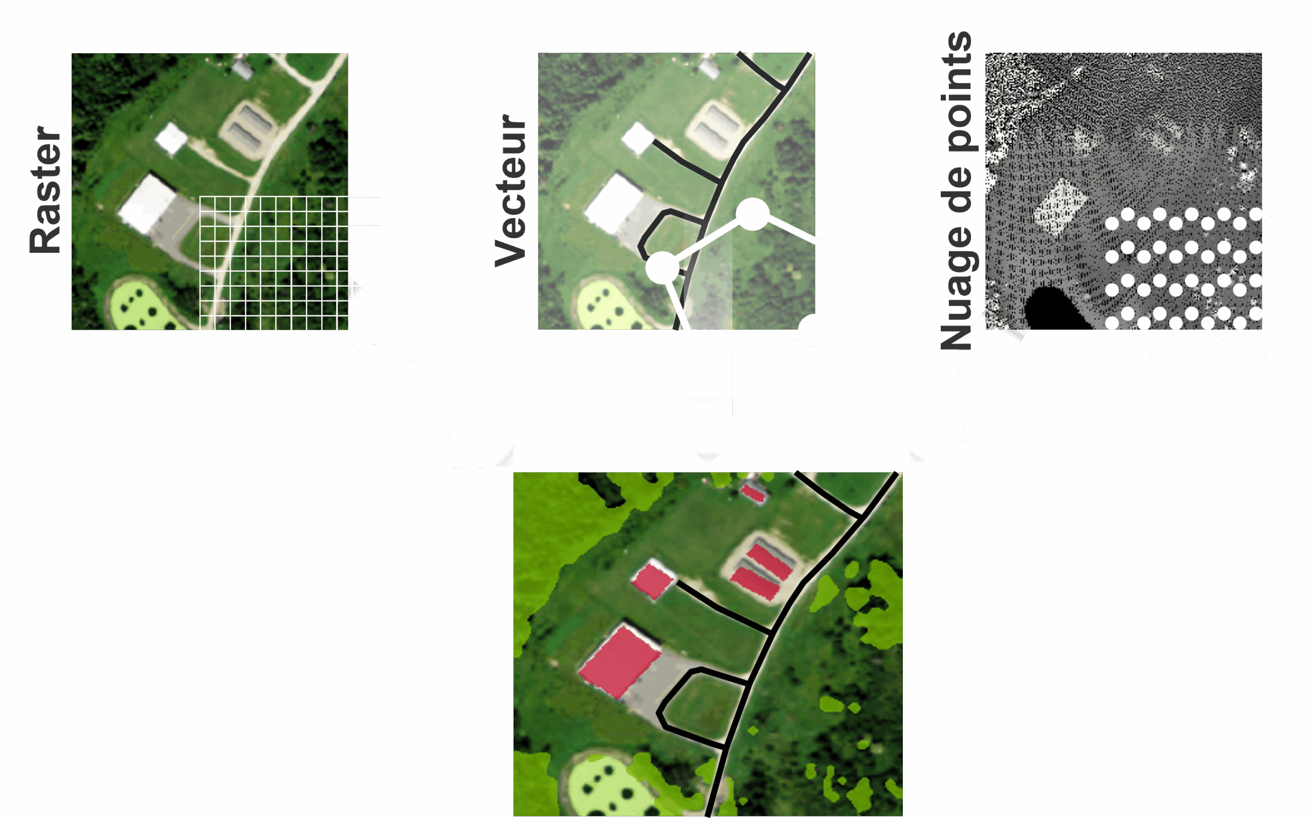 Chaine de traitement de la solution ecognition, raster, vecteur et nuages de points