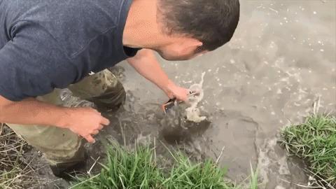 La Juniper MESA 3 est waterproof