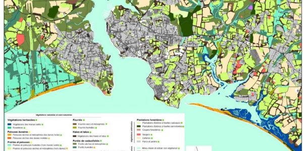 eCognition Classification de zones